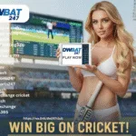 cricket betting